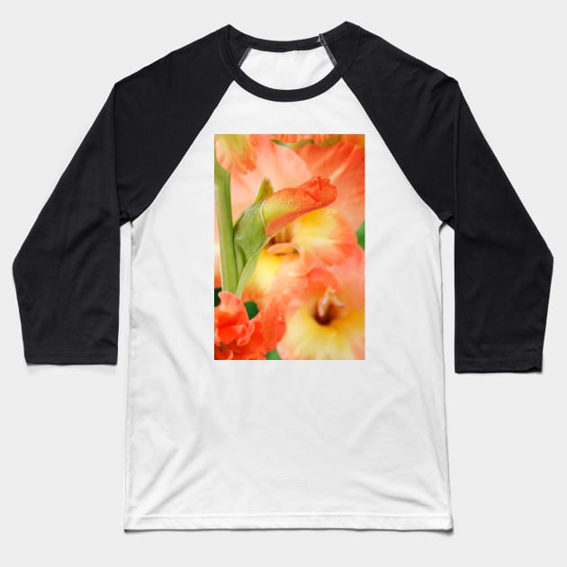 Gladiolus  'Tabasco' Baseball T-Shirt by chrisburrows